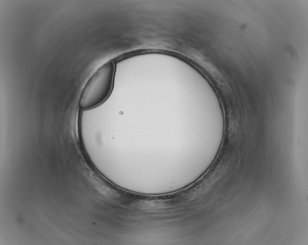 X0000112081272200909011036