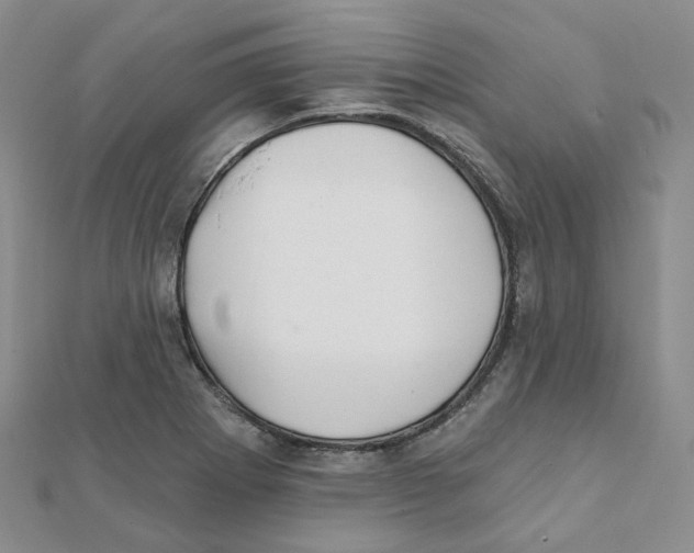 X0000112081273200909011036
