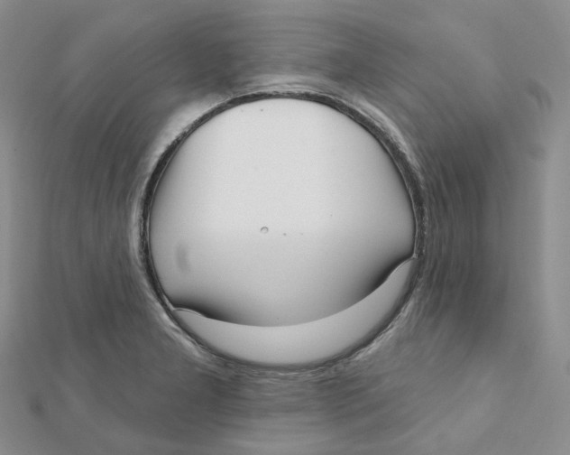 X0000112081277200909011036