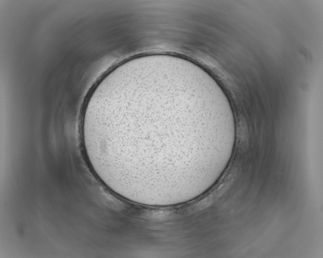 X0000112081278200909011036