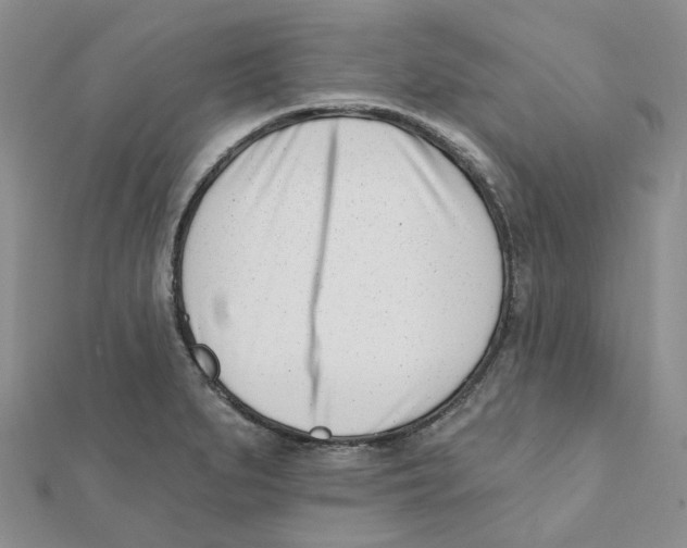 X0000112081279200909011036