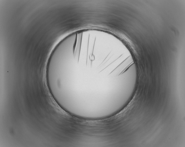 X0000112081280200909011036