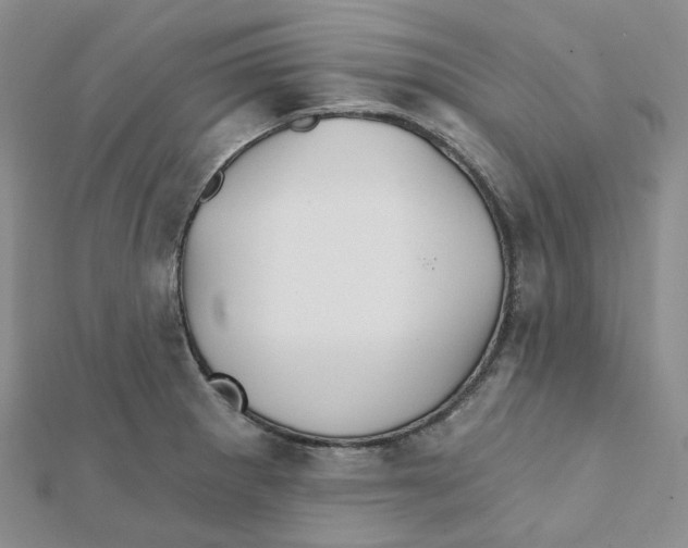 X0000112081281200909011036