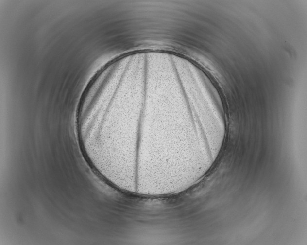 X0000112081283200909011036