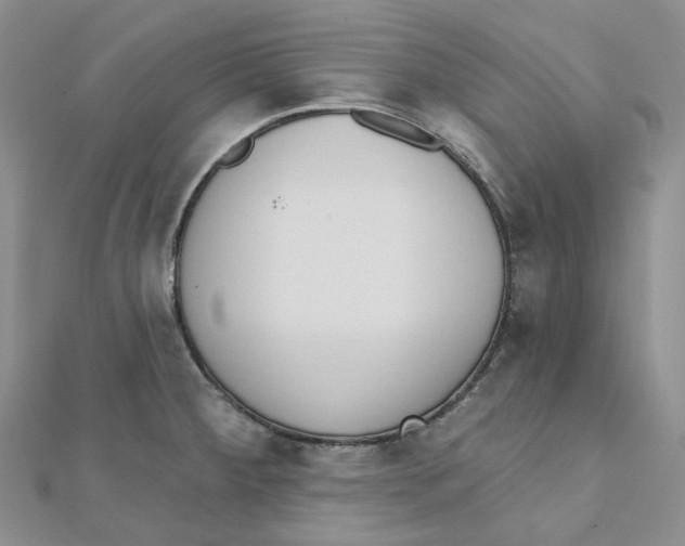 X0000112081284200909011036