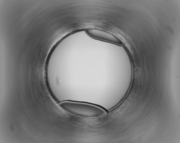 X0000112081285200909011036