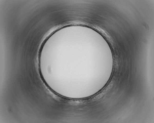 X0000112081286200909011036