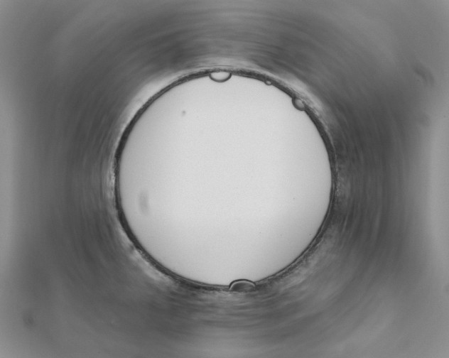 X0000112081287200909011036