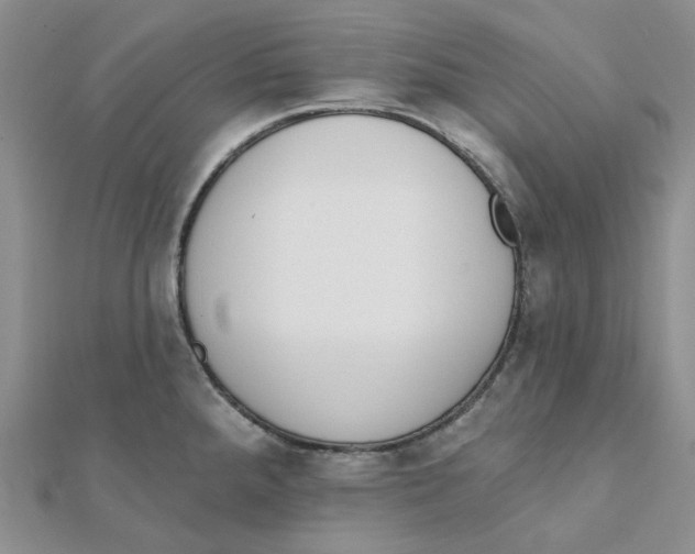 X0000112081288200909011036