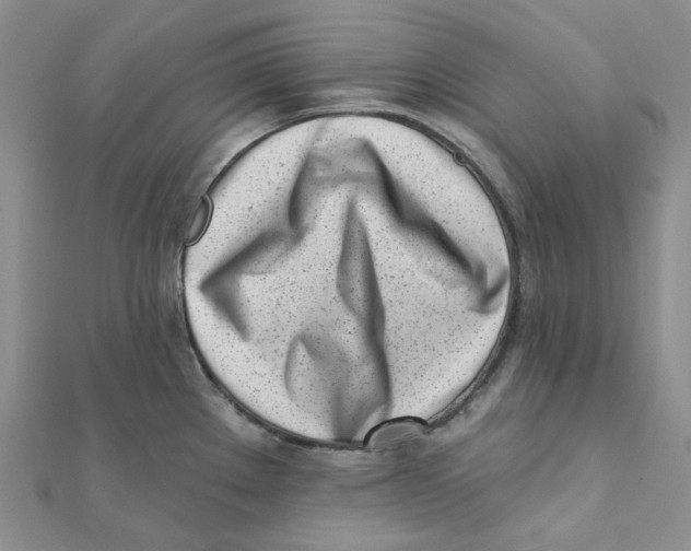 X0000112081289200909011036