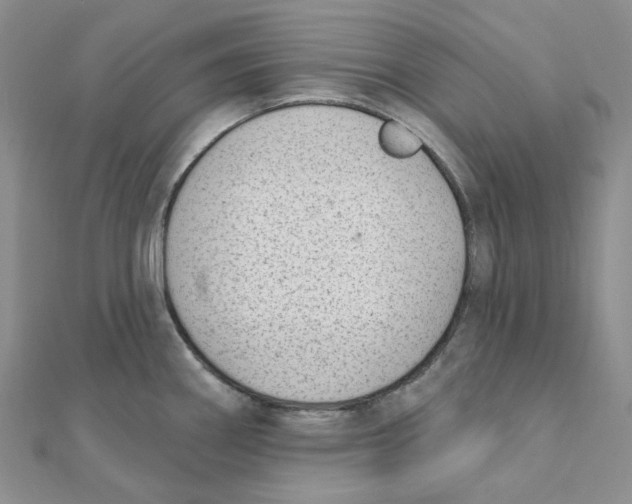 X0000112081290200909011036