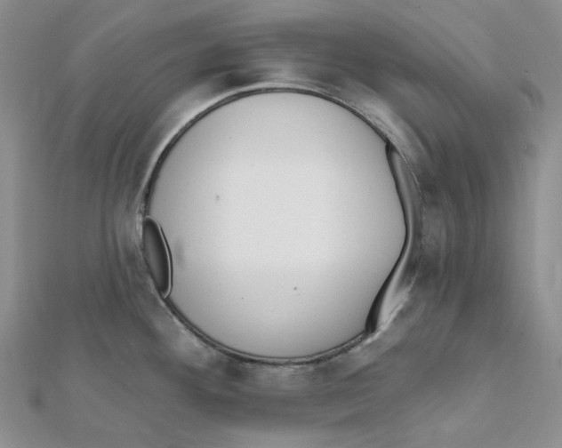 X0000112081292200909011036