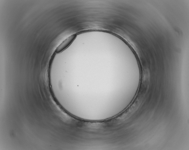 X0000112081293200909011036