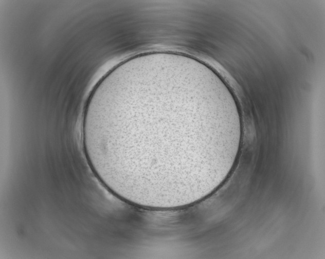 X0000112081294200909011036