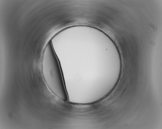 X0000112081296200909011036