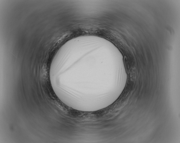 X0000112081298200909011035