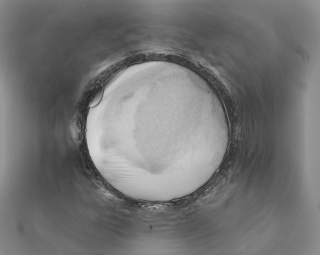 X0000112081303200909011035