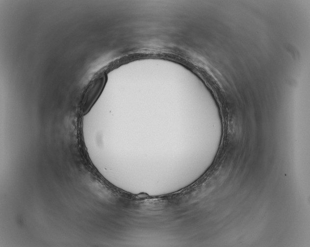 X0000112081304200909011035