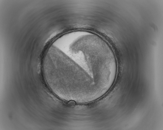 X0000112081306200909011035