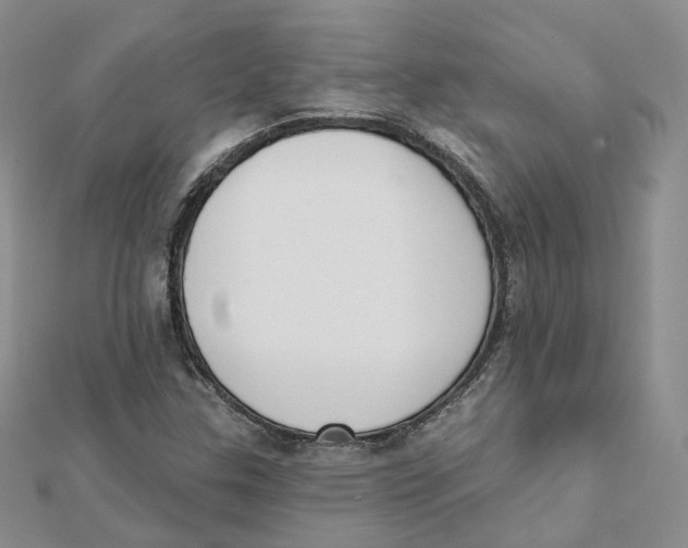 X0000112081307200909011035