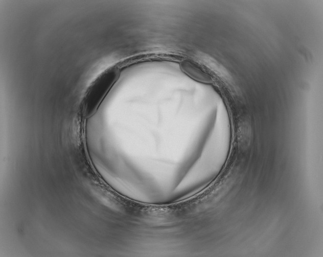 X0000112081310200909011035