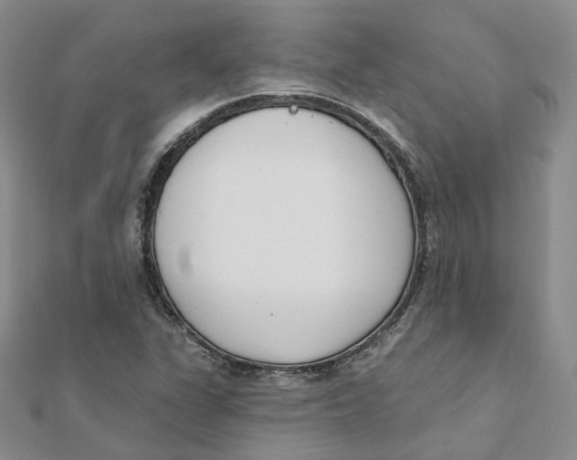X0000112081311200909011035