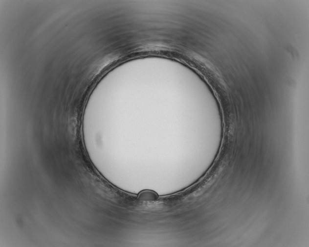 X0000112081313200909011035