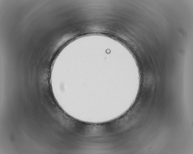 X0000112081314200909011035