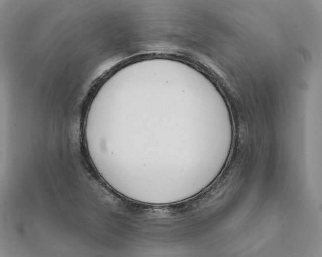 X0000112081315200909011035