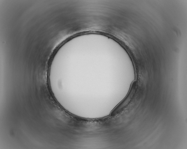 X0000112081316200909011035