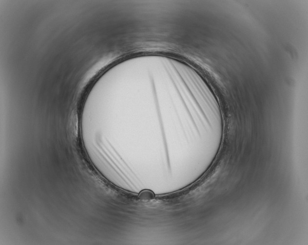 X0000112081317200909011035