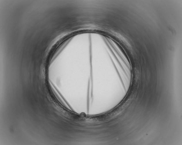 X0000112081318200909011035