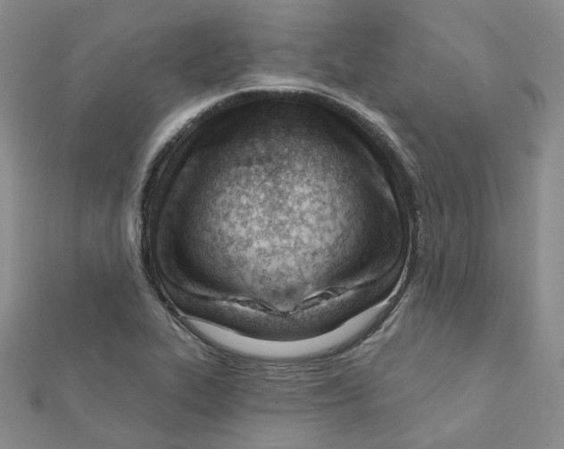 X0000112081319200909011036