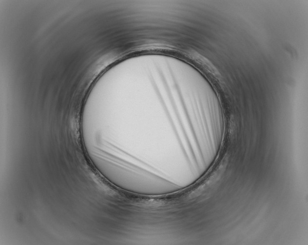X0000112081321200909011036