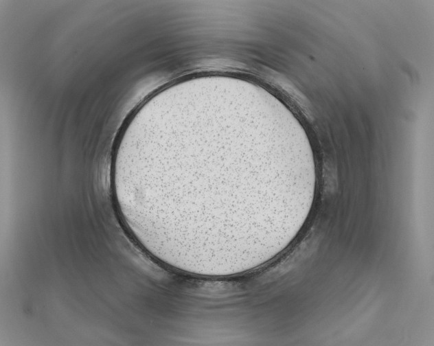 X0000112081322200909011036