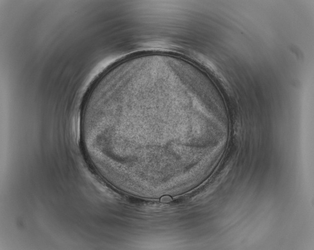 X0000112081323200909011036