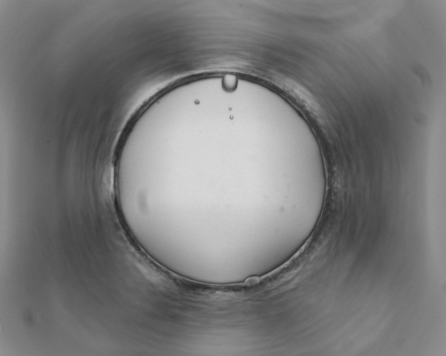 X0000112081324200909011036