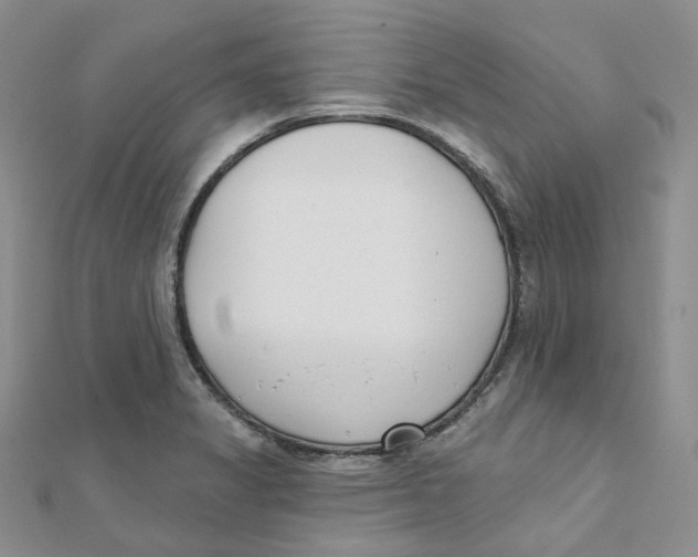 X0000112081325200909011036