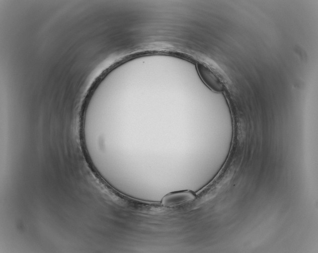 X0000112081326200909011036