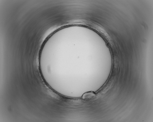 X0000112081328200909011036