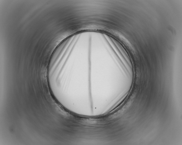 X0000112081329200909011036
