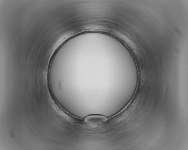 X0000112081330200909011036