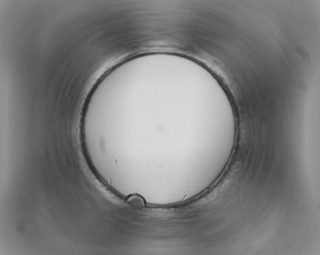 X0000112081333200909011036