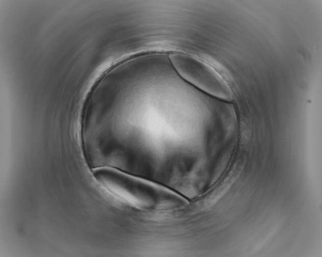 X0000112081334200909011036