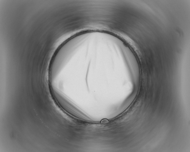 X0000112081335200909011036