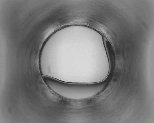 X0000112081336200909011036
