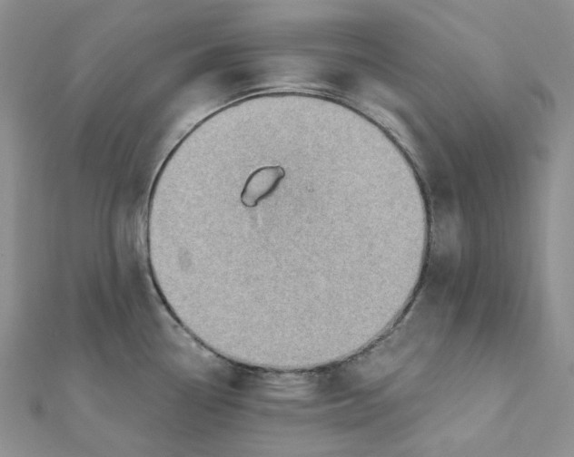 X0000112081338200909011036