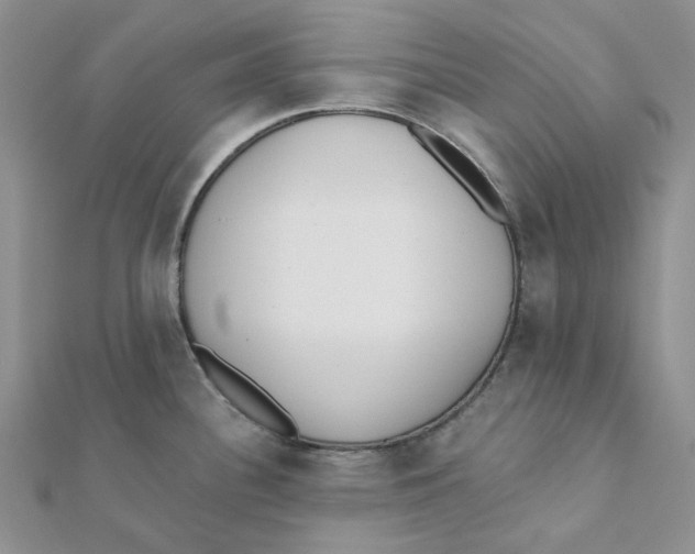 X0000112081340200909011036