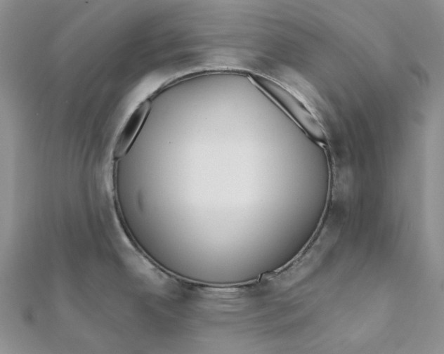 X0000112081342200909011036