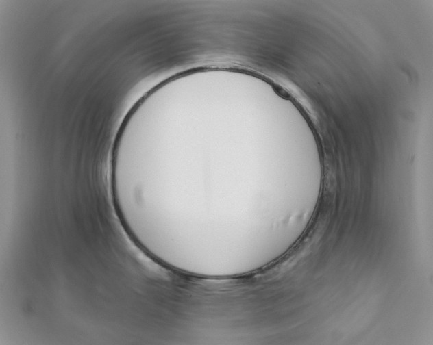 X0000112081343200909011036